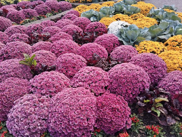 Comment sélectionner efficacement son assurance pour un investissement locatif rentable ?